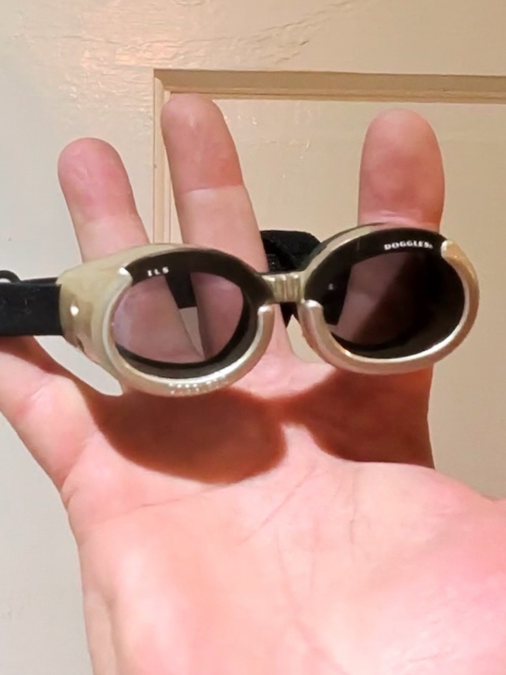 Protective Doggles Dog Goggles — Black Lenses with Chrome Frame